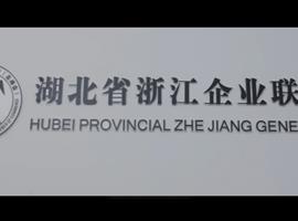 武汉商会专题片拍摄